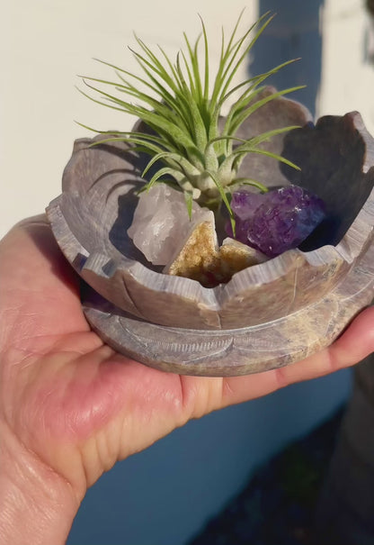 Natural Lotus Stone Bowl Decor with Crystals and Air Plants - Includes Citrine, Amethyst and Rose Quartz - Boho or Spiritual Home Decor Gift