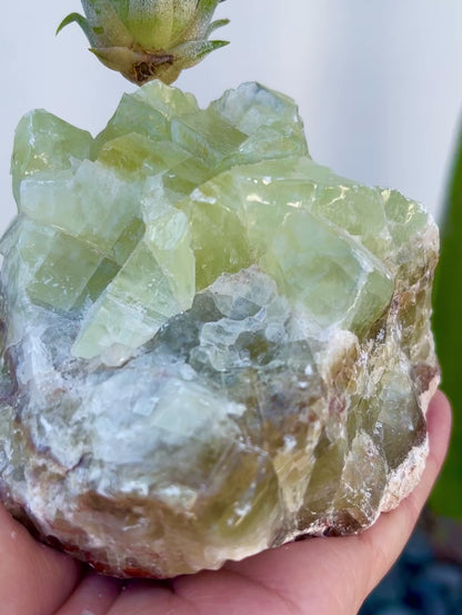 One-of-a-kind Green Calcite Air Plant Holder