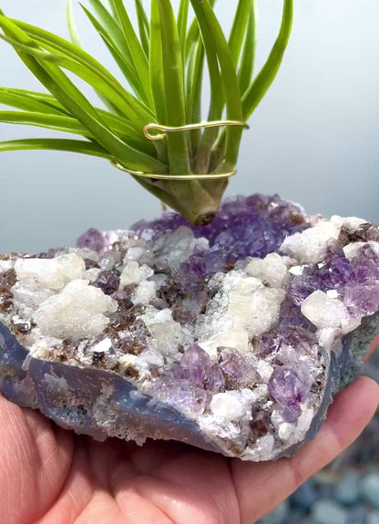 One-of-a-Kind Amethyst Cluster with Calcites Air Plant Holder with Tillandsia Velutina Plant