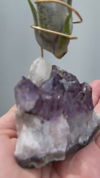 One-of-a-kind Purple Amethyst Crystal with Calcite Point Air Plant Holder - Includes Gift Box and Healthy Air Plant