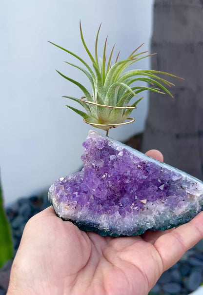 One-of-a-Kind Standing Amethyst Crystal Tillandsia Air Plant Holder - Zen Plant and Crystal Decor