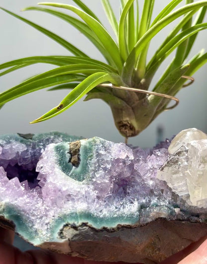 One-of-a-Kind Air Plant Holder made from Large Amethyst Crystal Stalactite with Eye Detail