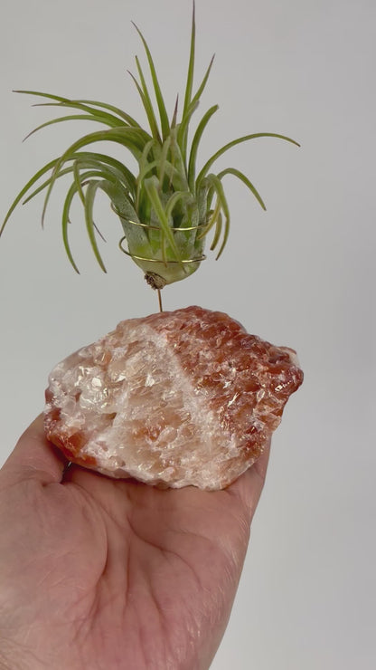 Red Calcite Crystal Air Plant Holder