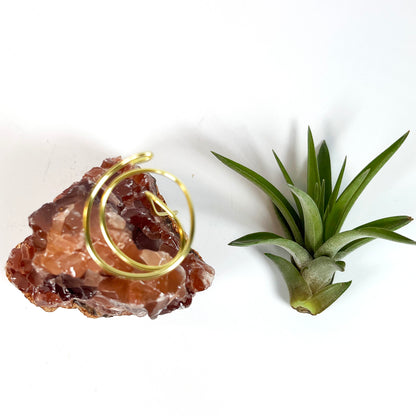 One-of-a-kind Dark Red Calcite Crystal Air Plant Holder: Unique Plant and Crystal Gift