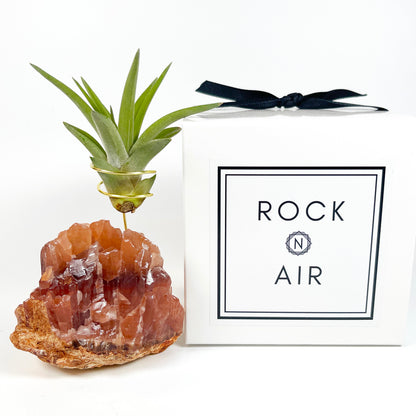 One-of-a-kind Dark Red Calcite Crystal Air Plant Holder: Unique Plant and Crystal Gift