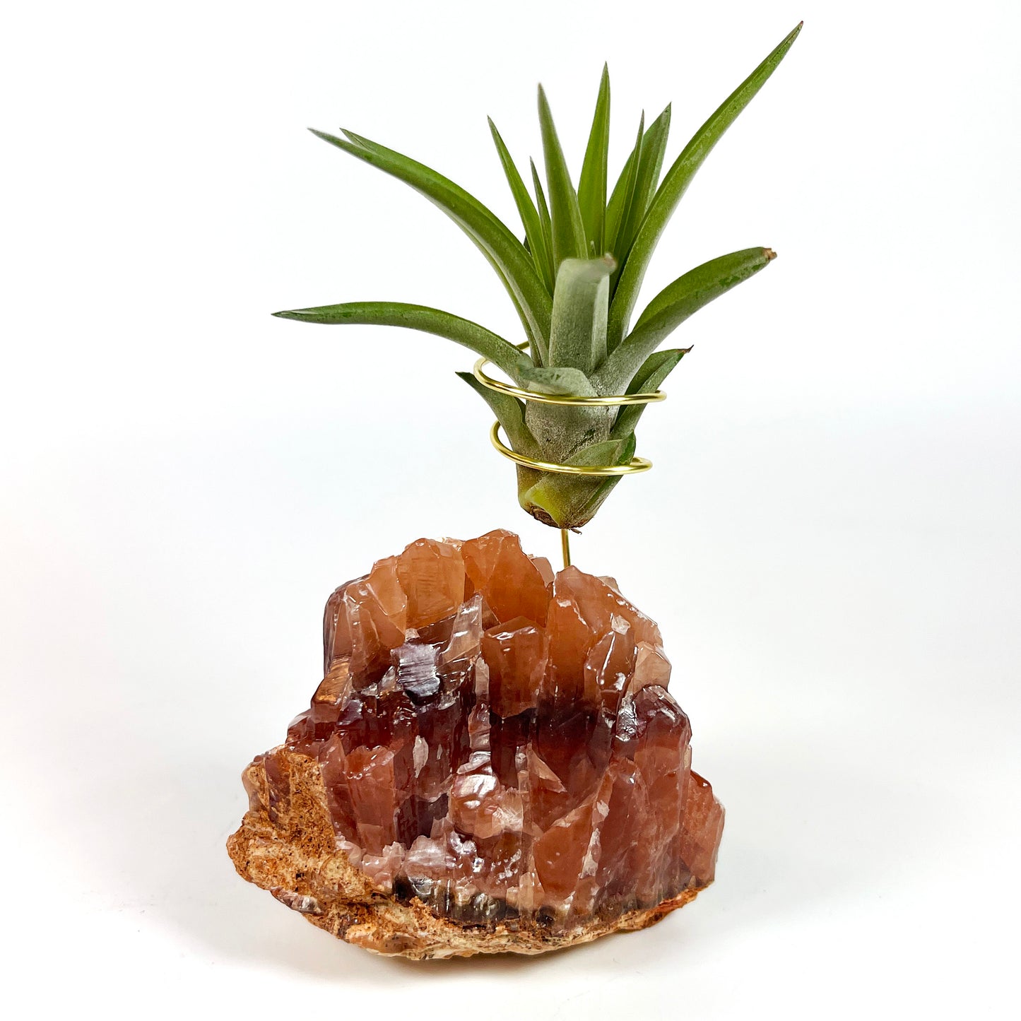 One-of-a-kind Dark Red Calcite Crystal Air Plant Holder: Unique Plant and Crystal Gift