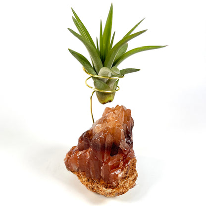 One-of-a-kind Dark Red Calcite Crystal Air Plant Holder: Unique Plant and Crystal Gift