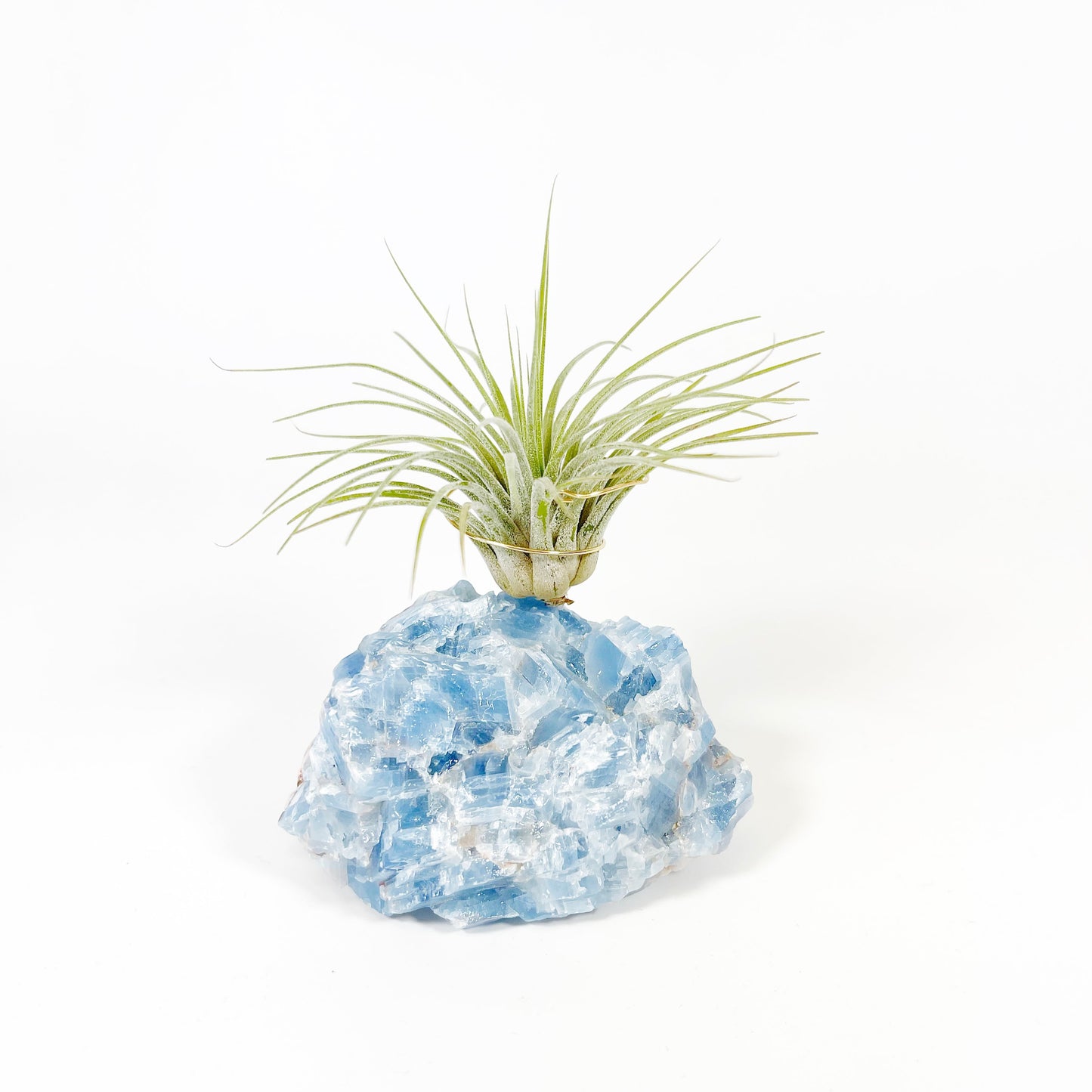 Unique Birthday Gift - Blue Calcite Crystal Air Plant Holder