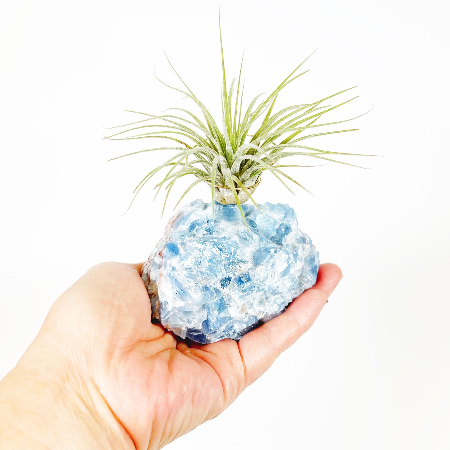 Unique Holiday Gift - Blue Calcite Crystal Air Plant Holder - Ho Ho Ho Gift Box