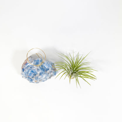 Unique Birthday Gift - Blue Calcite Crystal Air Plant Holder