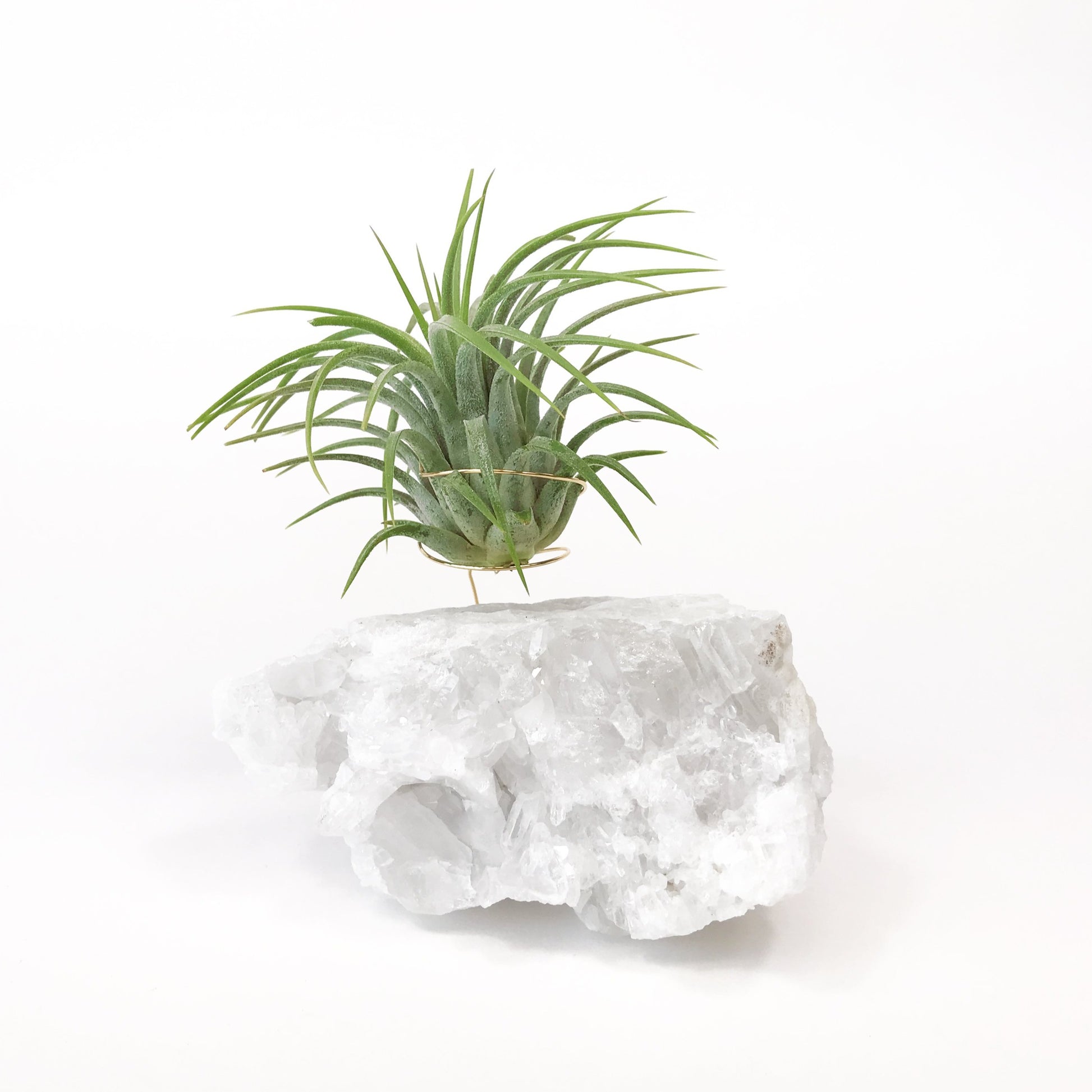 quartz air plant Clear Quartz Crystal Air Plant Holder