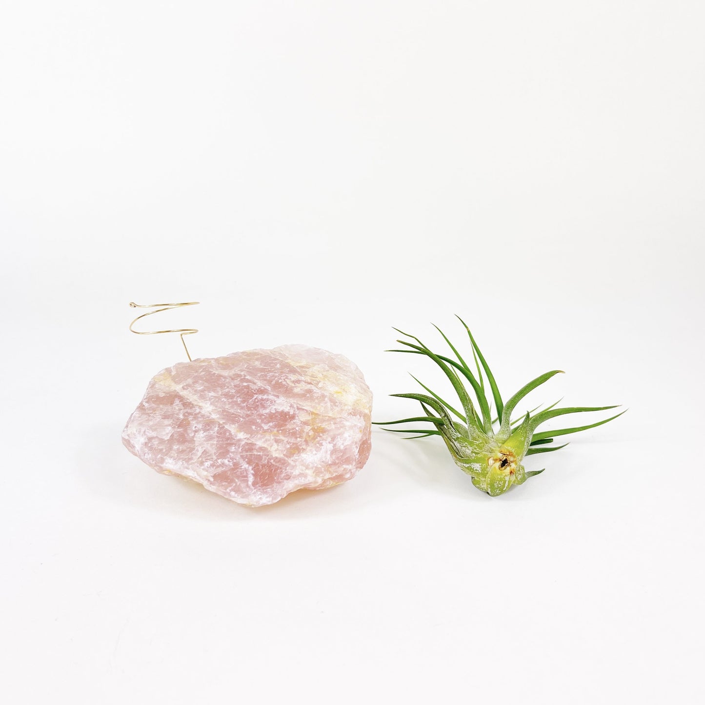 One-of-a-Kind Rose Quartz Air Plant Holder