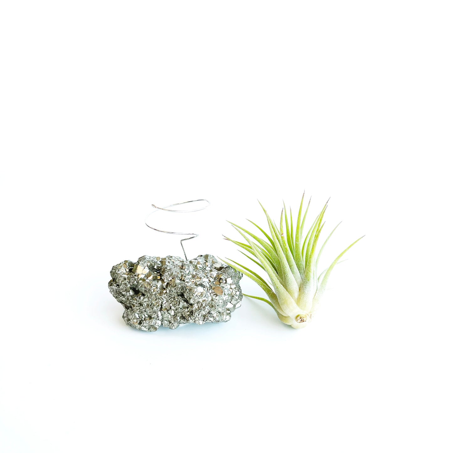 Small Pyrite Air Planter